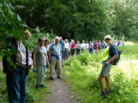 15th anniversary of Simply Walk celebrated at Hughenden Manor