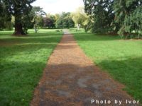 Opinion : Is Hughenden Park worth visiting?