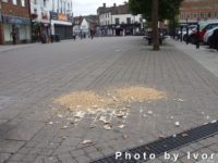 Opinion : Who is feeding the Frogmoor pigeons?