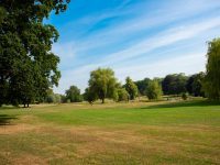 Three parks in the Wycombe District awarded prestigious Green Flags for the year ahead