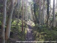 Online survey launched on 10 year improvement plan for rights of way network in Buckinghamshire