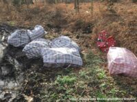 Man fined after being caught dumping drug-related waste in Beaconsfield