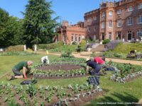 Bedding planting at Hughenden Manor